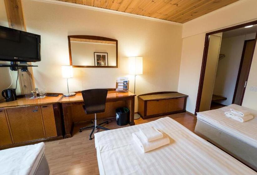 Трежместный Номер Economy, Budget Hotel Raahe
