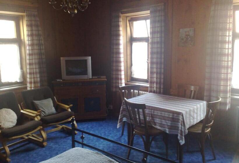 Номер Стандарт Совместная Ванная, B&b Hotel & Appartements Chasa Valär