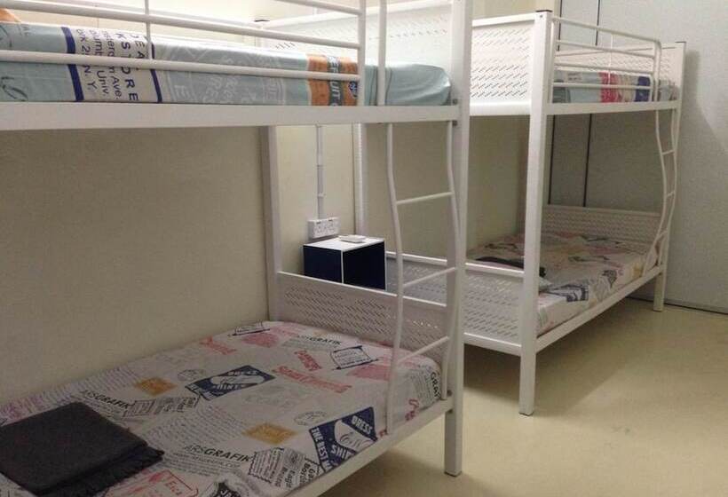 Кровать в Общей Комнате, Vloft Backpackers Hostel