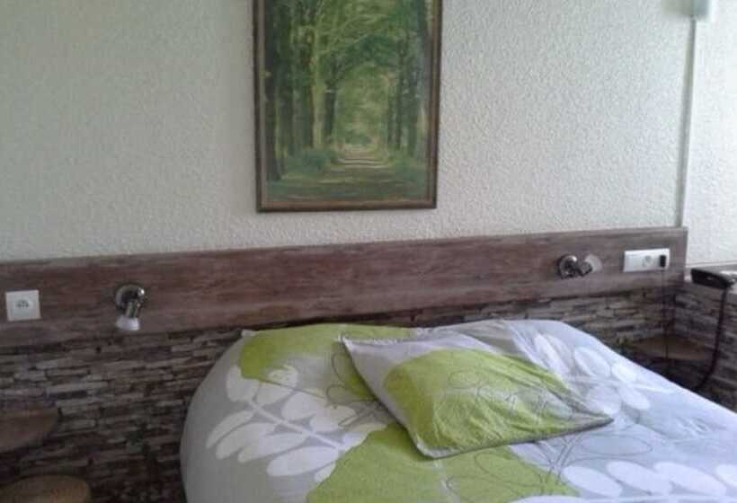 스탠다드 룸, Contact Hôtel Come Inn