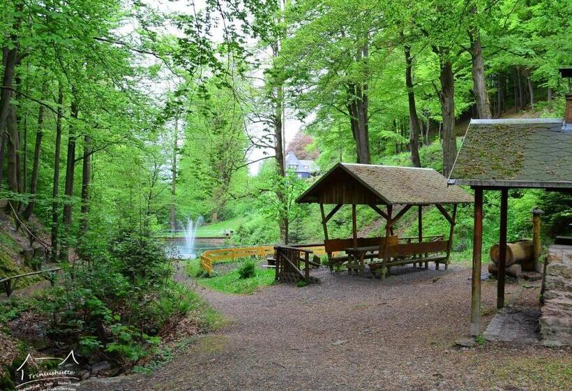Апартаменты 3 Спальни, Die Triniushütte Thüringens Schönste Aussicht
