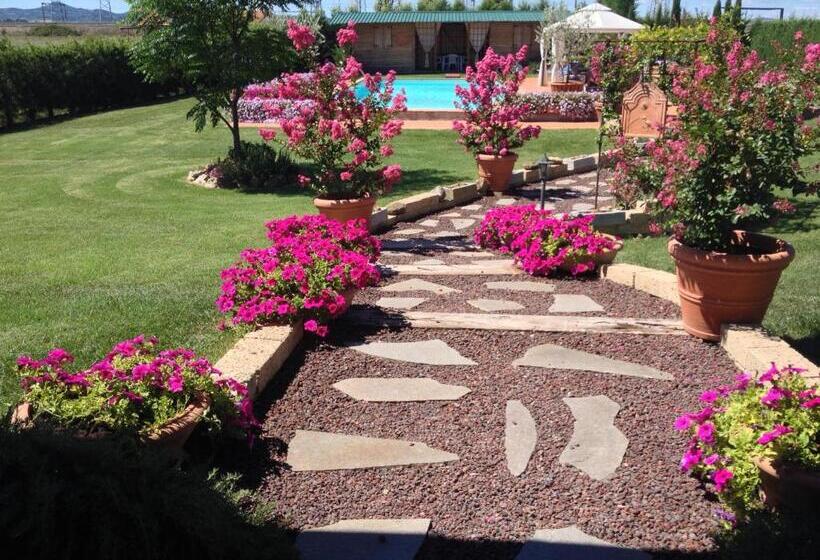 Стандартный Номер Кровать Кинг, Agriturismo Le Rondinelle