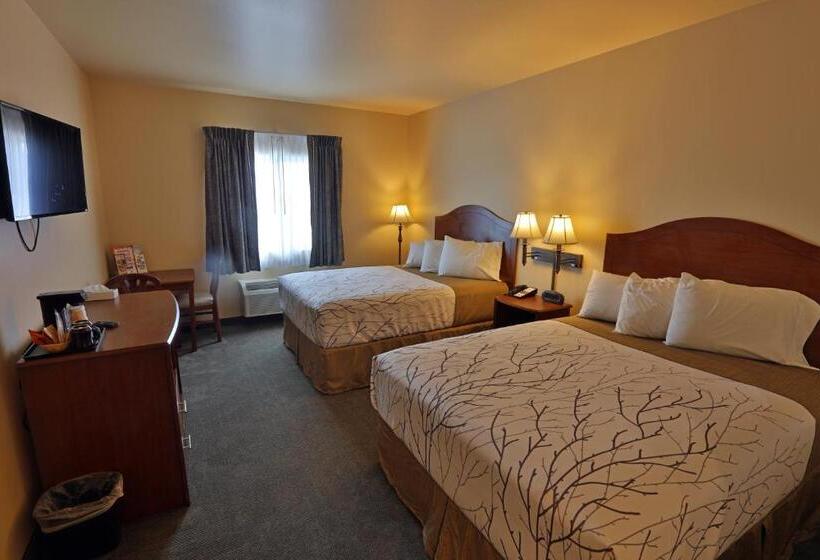 Номер Стандарт, Sandhills Guest House Motel