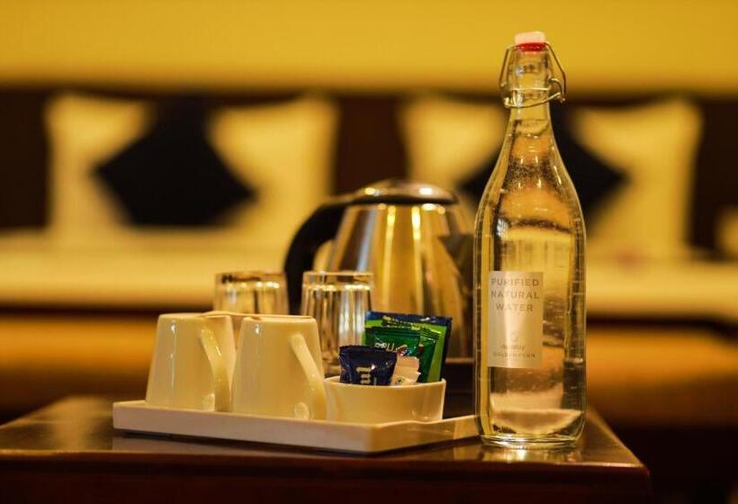 수피리어 룸 산전망, Golden Fern Resort