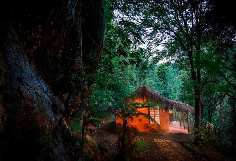 침실 1개 주택, Golden Fern Resort