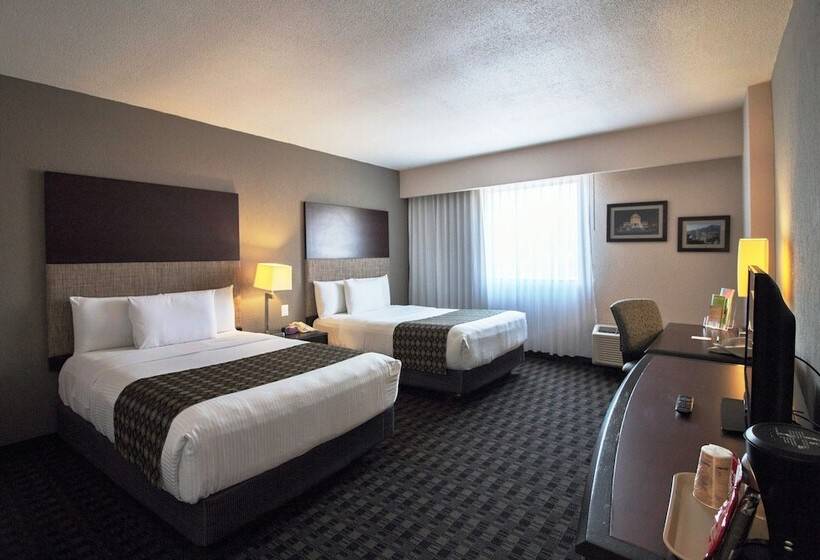 Quarto Estandar para Deficientes Físicos, Chn Hotel Monterrey Norte, Trademark Collection By Wyndham