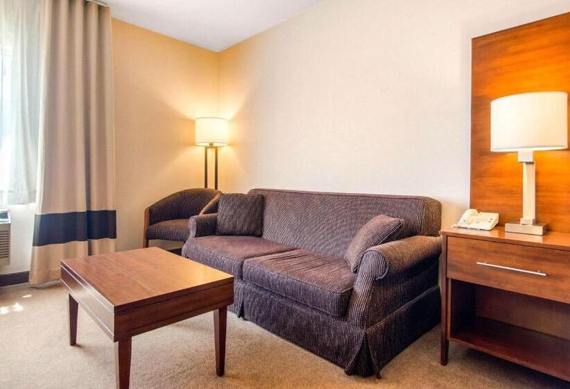 Номер Стандарт, Comfort Inn & Suites Shawinigan