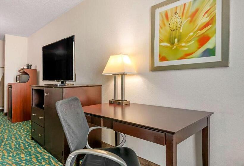 スタンダードルーム, Comfort Inn & Suites Fort Lauderdale West Turnpike