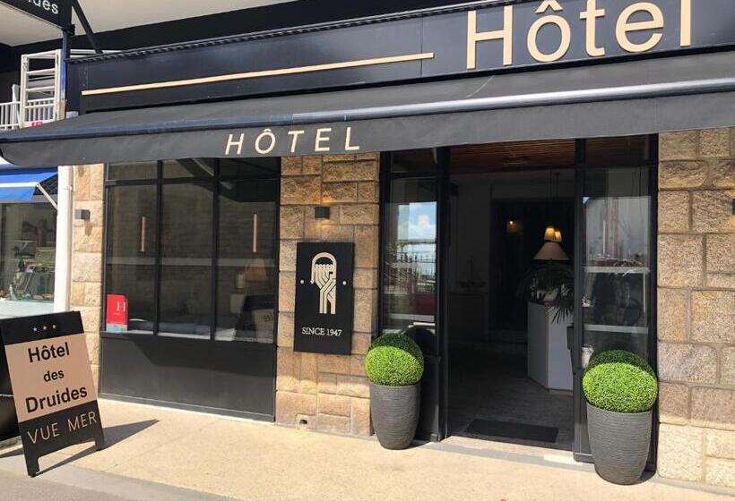 اتاق استاندارد با چشم‌انداز دریا, Hôtel Des Druides
