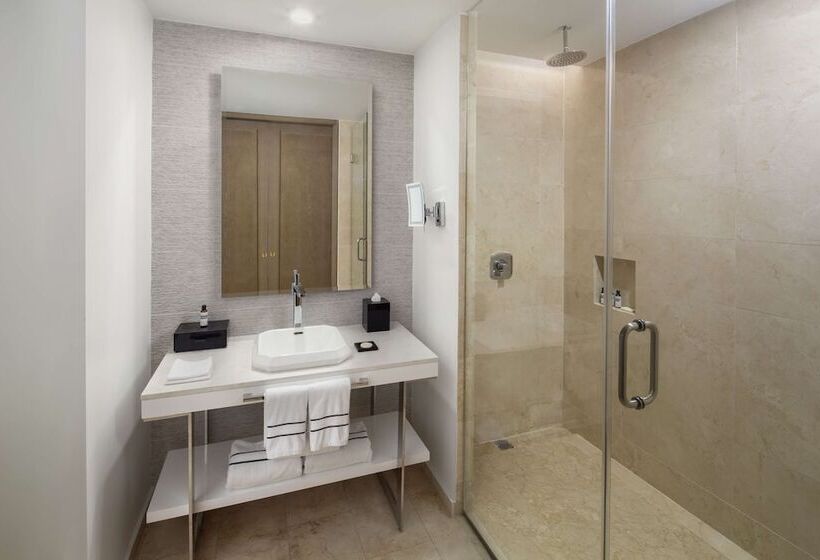اتاق لوکس با چشم‌انداز باغ, Hyatt Regency Grand Reserve Puerto Rico
