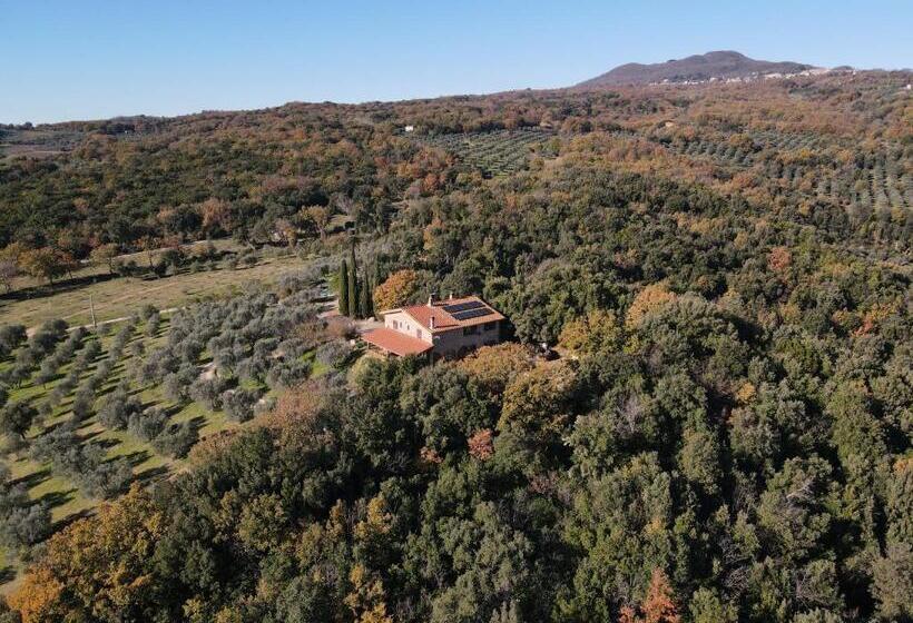 海の見える１ベッドルームアパートメント, Agriturismo Campo Al Crognolo