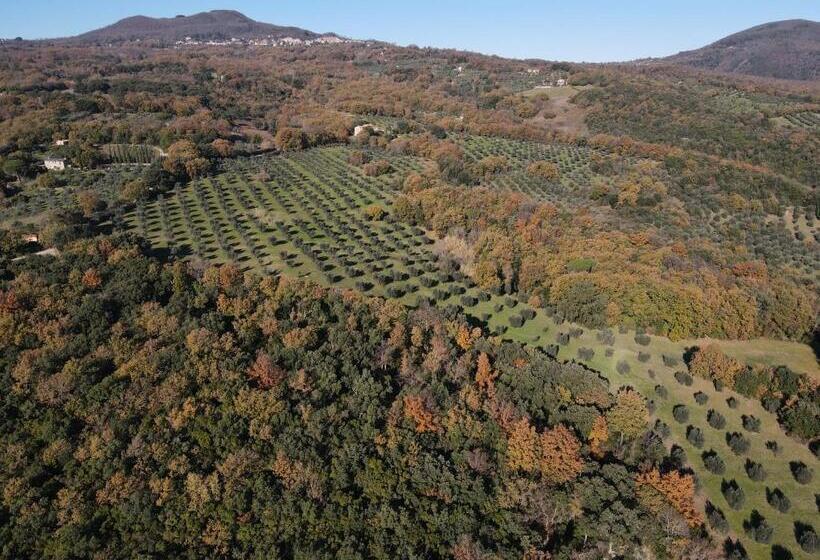 景色の見える一ベッドルームアパートメント, Agriturismo Campo Al Crognolo