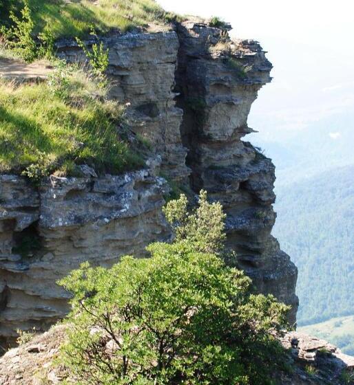 Номер Стандарт Адаптированный для Инвалидов, Agriturismo Piccola Raieda