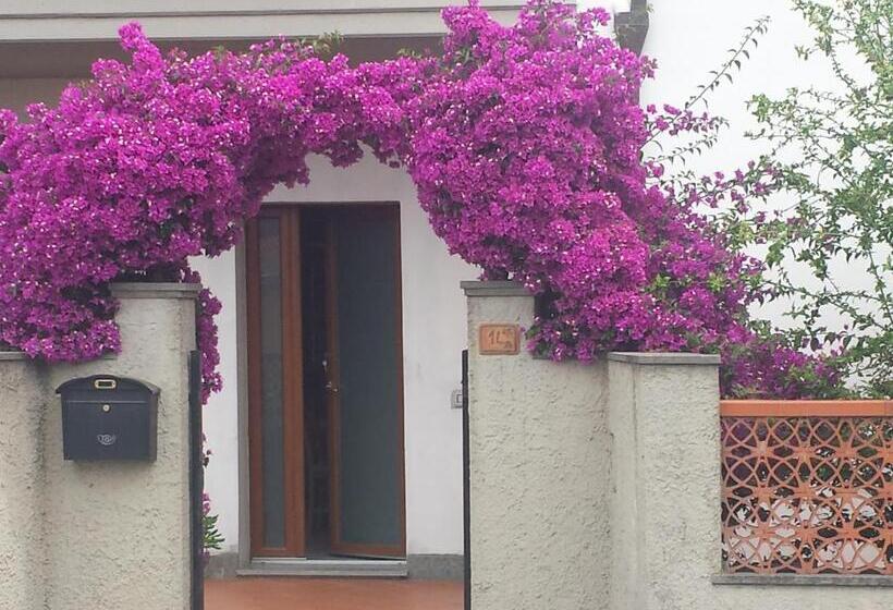 带大床的高级房间, Villa Lory Albinia