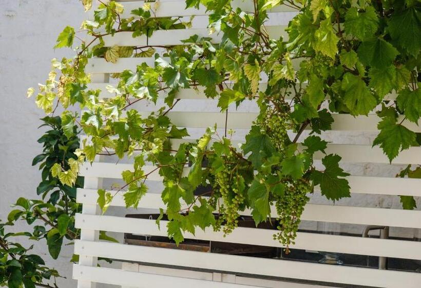 Дом 3 Спальни, Welcome Ostuni B&b