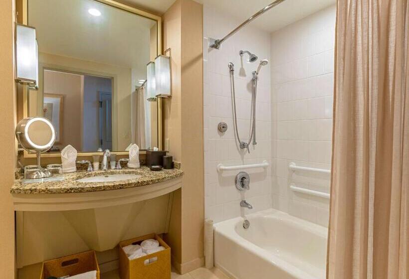 身障者適用スタンダードルーム, Hyatt Regency Coconut Point Resort & Spa Near Naples