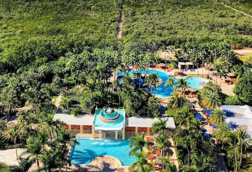 プレミアムスイート, Hyatt Regency Coconut Point Resort & Spa Near Naples