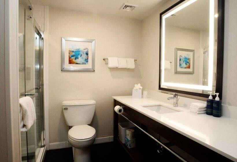Номер Стандарт, Four Points By Sheraton Wakefield Boston Hotel & Conference Center