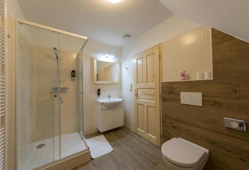 آپارتمان 1 خوابه, Valašské Chalupy Resort