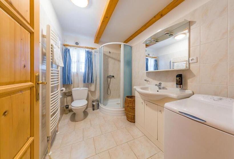 آپارتمان 1 خوابه, Valašské Chalupy Resort