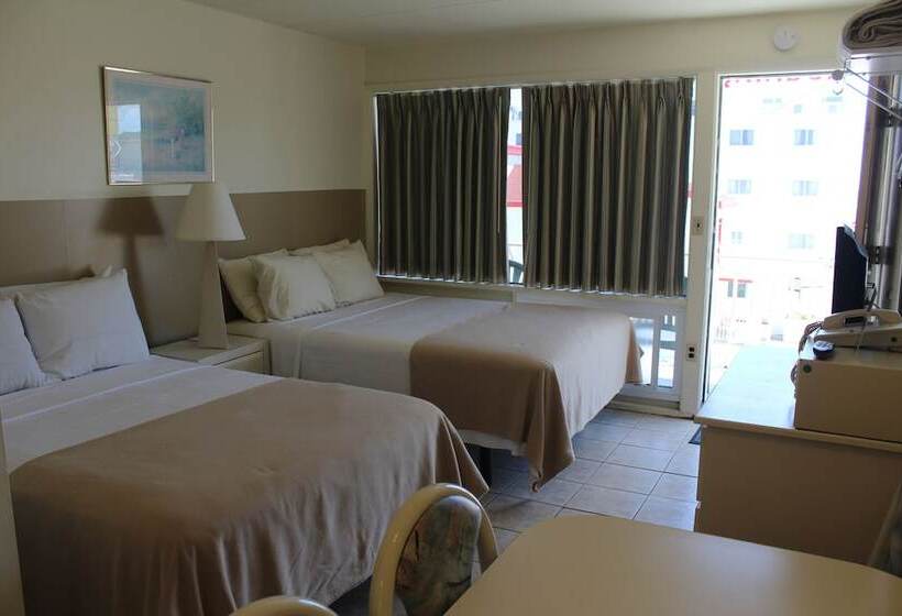 스탠다드 룸 풀장 전망, Condor Motel   Beach Block