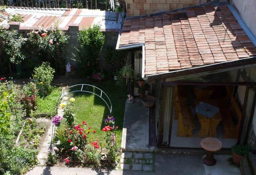 Студия Стандарт, Guest House Sokratovi