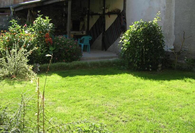 Апартаменты 1 Спальня, Guest House Sokratovi