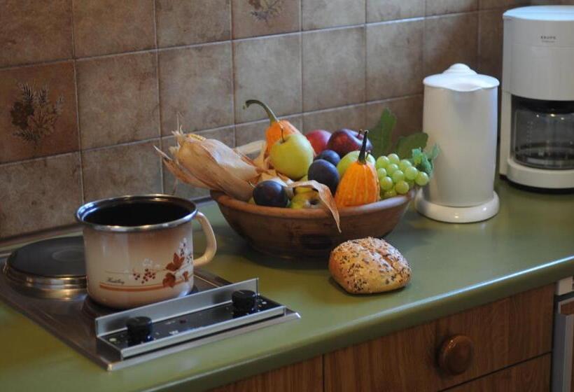 침실 1개 전망 아파트, Appartments Innerhofer