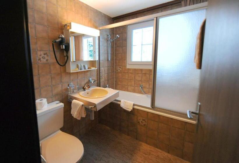 Апартаменты Economy 1 Спальня, Serviced Apartments – Kirchbühl@home