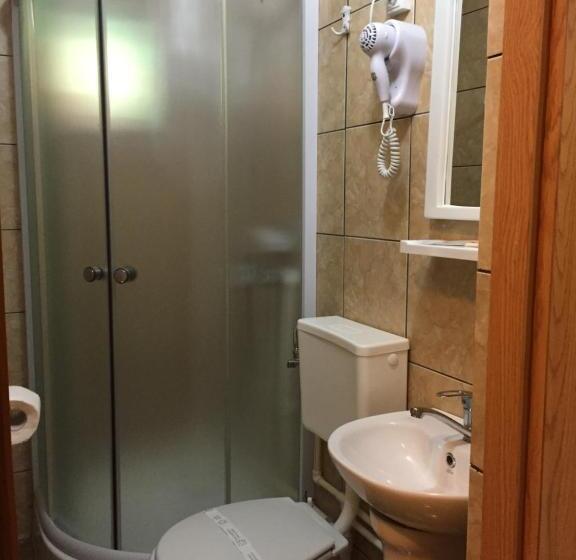 اتاق پنت هاوس, Pensiunea Aurora  Hostel Voineasa