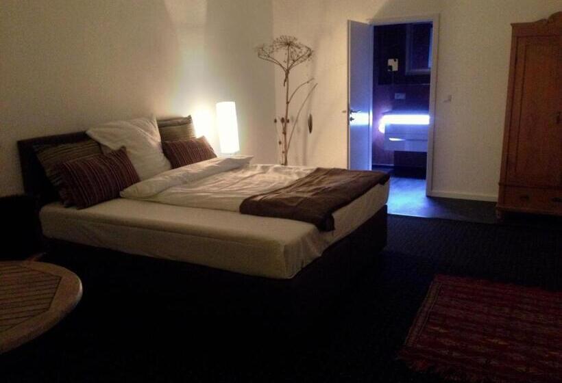 Апартаменты 1 Спальня с Террасой, Aparthotel Flughafen Leipzig