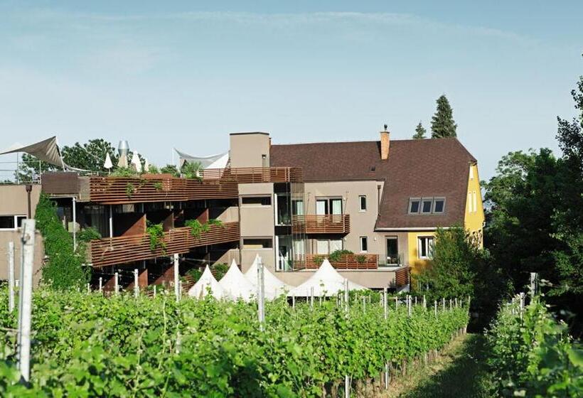 주니어 스위트 발코니, Weingartenhotel Harkamp Südsteiermark