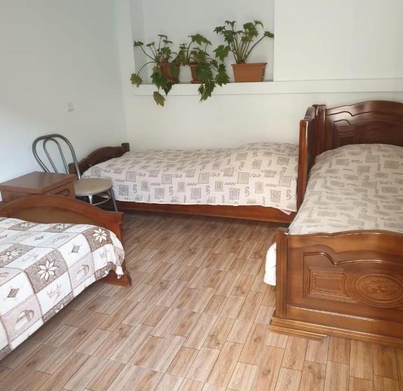 Quarto Triplo Economy, Tatev Shinuhayr