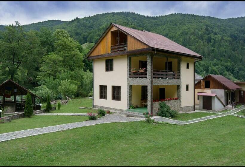 Стандартный Номер Кровать Кинг, Pensiunea Bobu