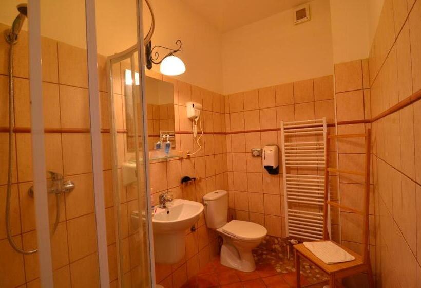 Номер Стандарт с Террасой, Baronka Bed & Breakfast & Bistrot