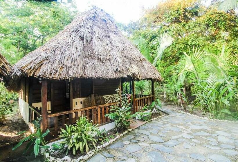 标准三人间, Cohune Palms River Cabanas