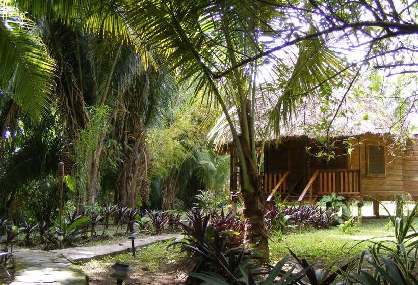 标准三人间, Cohune Palms River Cabanas