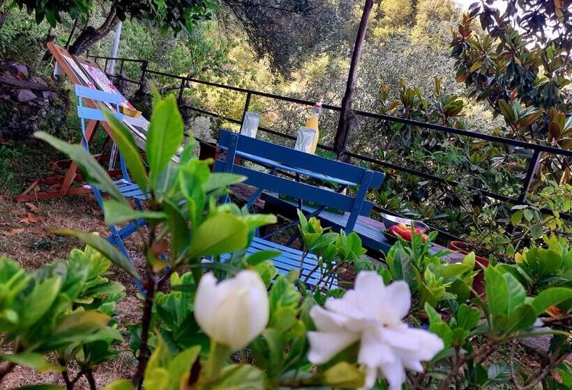 Номер Стандарт, B&b I Glicini