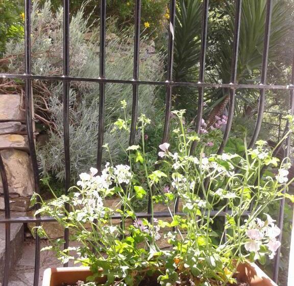 Номер Стандарт, B&b I Glicini