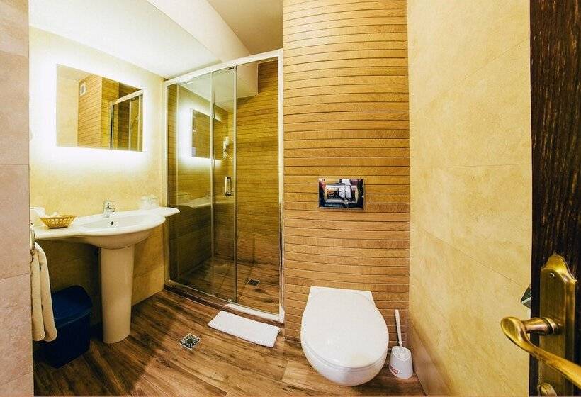 חדר סטנדרט, Best Western Bucovina Club De Munte