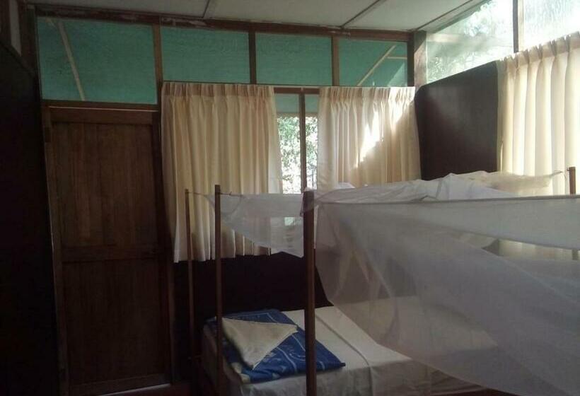 Номер Стандарт Индивидуальный, Don Jaime   Hostel