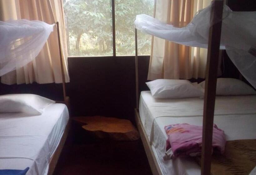 Номер Стандарт, Don Jaime   Hostel