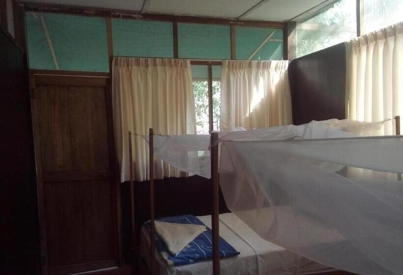 Кровать в Общей Комнате, Don Jaime   Hostel