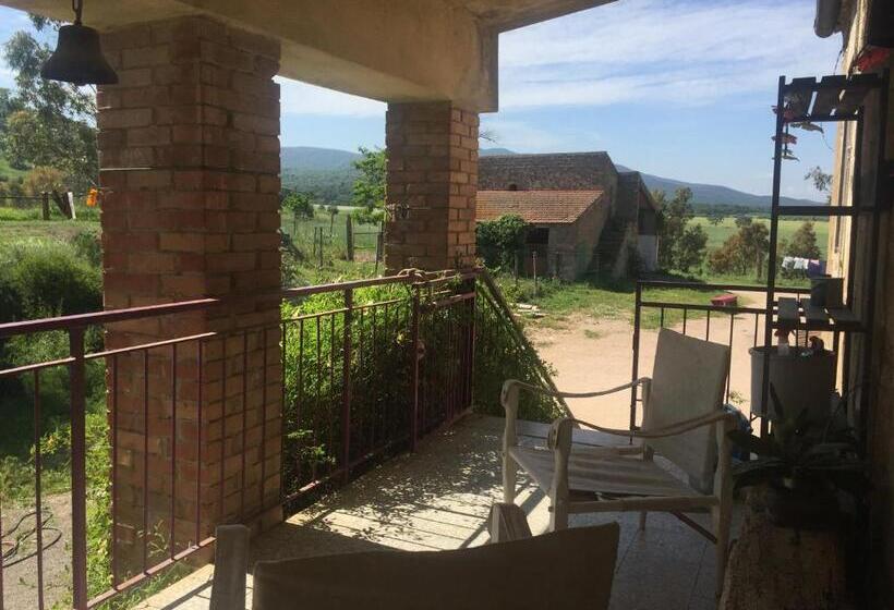 Апартаменты 1 Спальня с Террасой, Agriturismo La Valentina Nuova