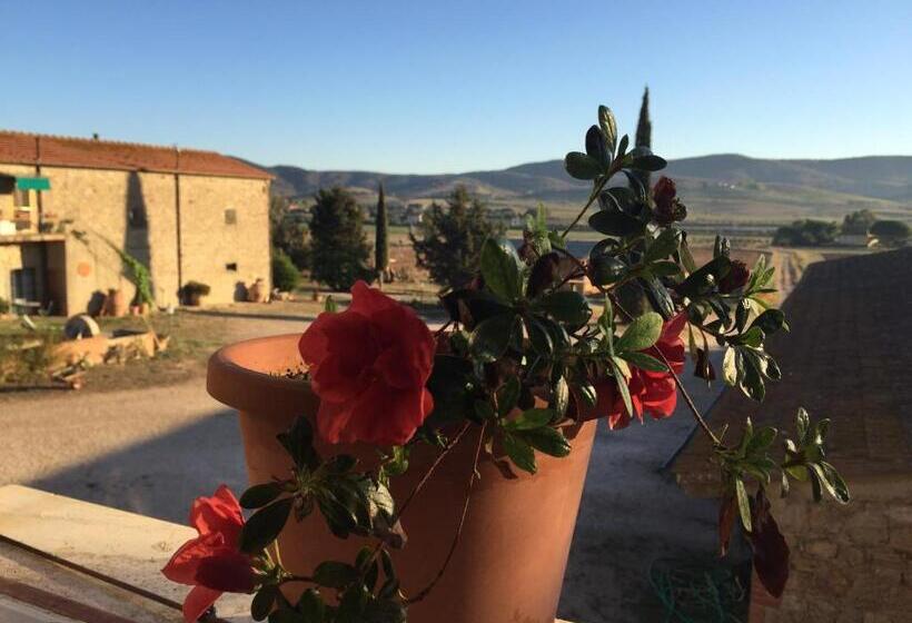 Апартаменты 1 Спальня с Террасой, Agriturismo La Valentina Nuova