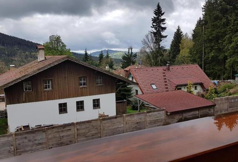 Люкс 2 Спальни, Pension Pek
