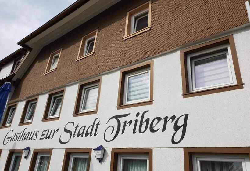 Апартаменты 3 Спальни, Gasthaus Zur Stadt Triberg