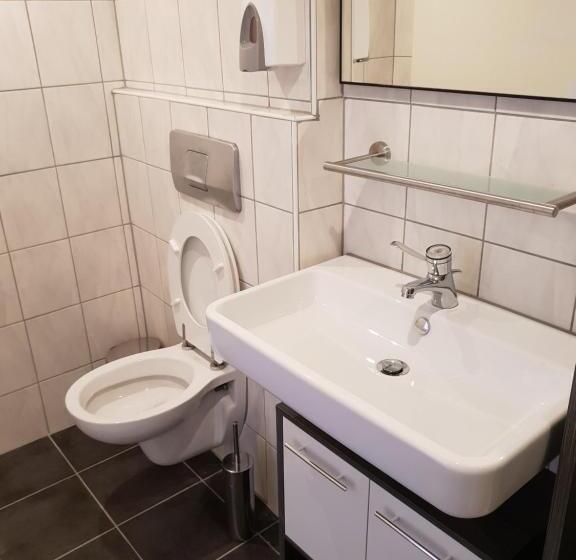 Апартаменты 3 Спальни, Gasthaus Zur Stadt Triberg