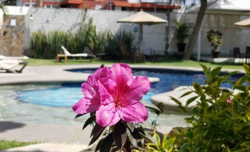 Номер Executive, Casa Francisco