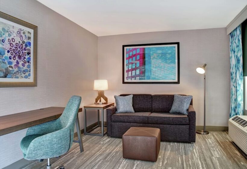 小型套房, Hilton Garden Inn Kansas City